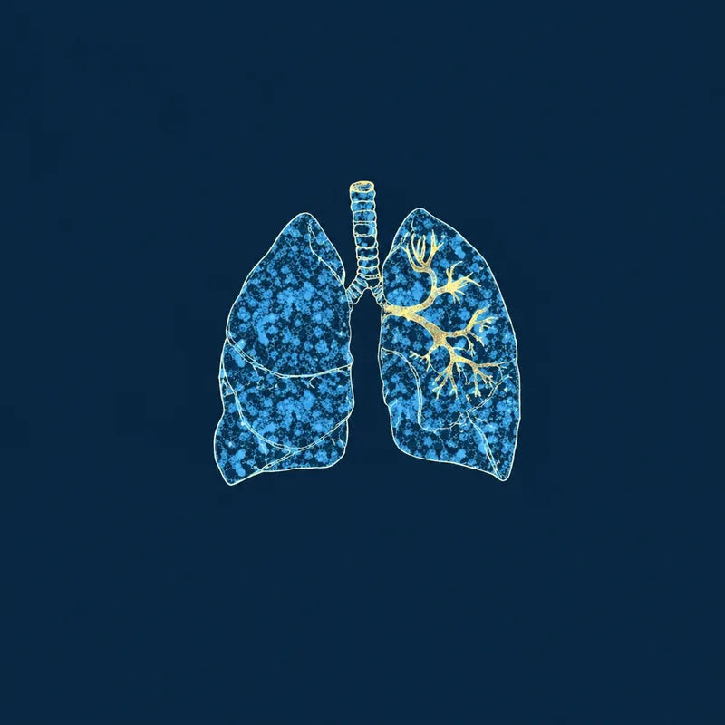 Columbia University Pulmonology-Rheumatology 2026
