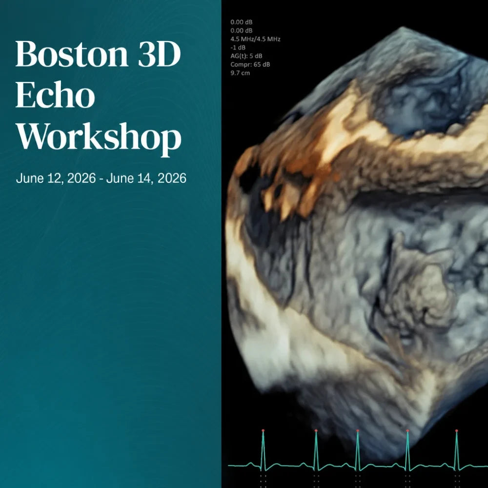 Harvard Boston 3D Echo Workshop 2026