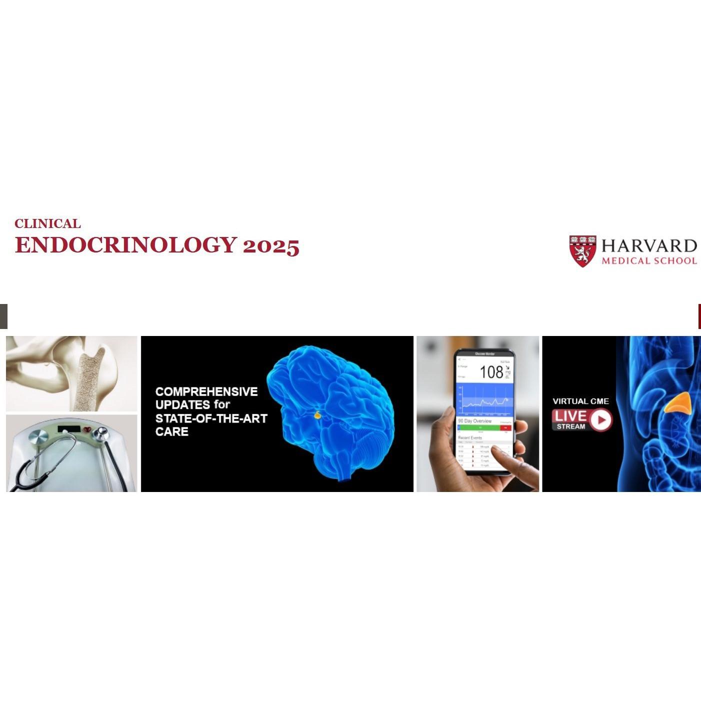 Harvard Clinical Endocrinology 2025