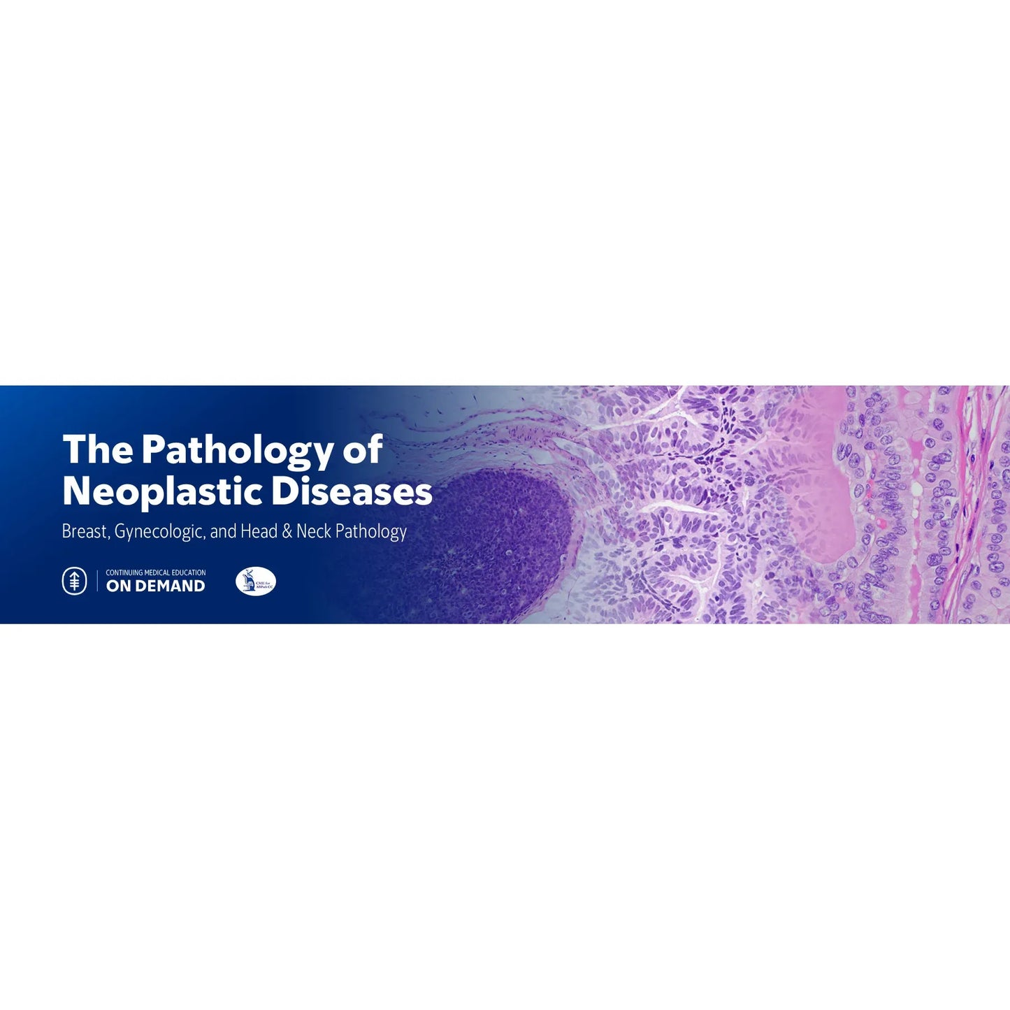 The Pathology of Neoplastic Diseases 2025