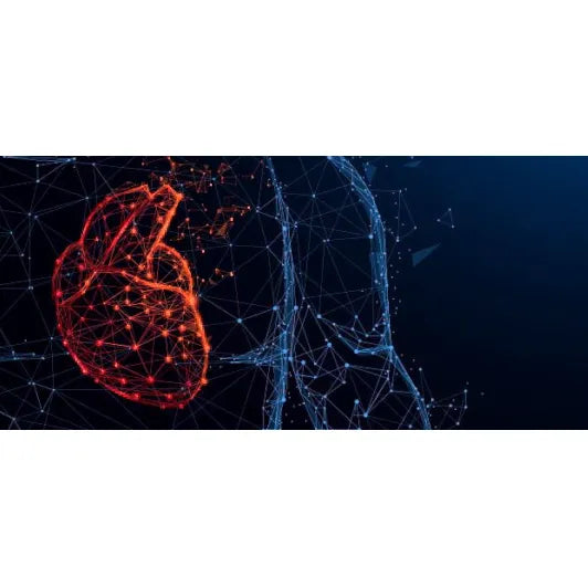 Harvard Update in Clinical Cardiology 2025