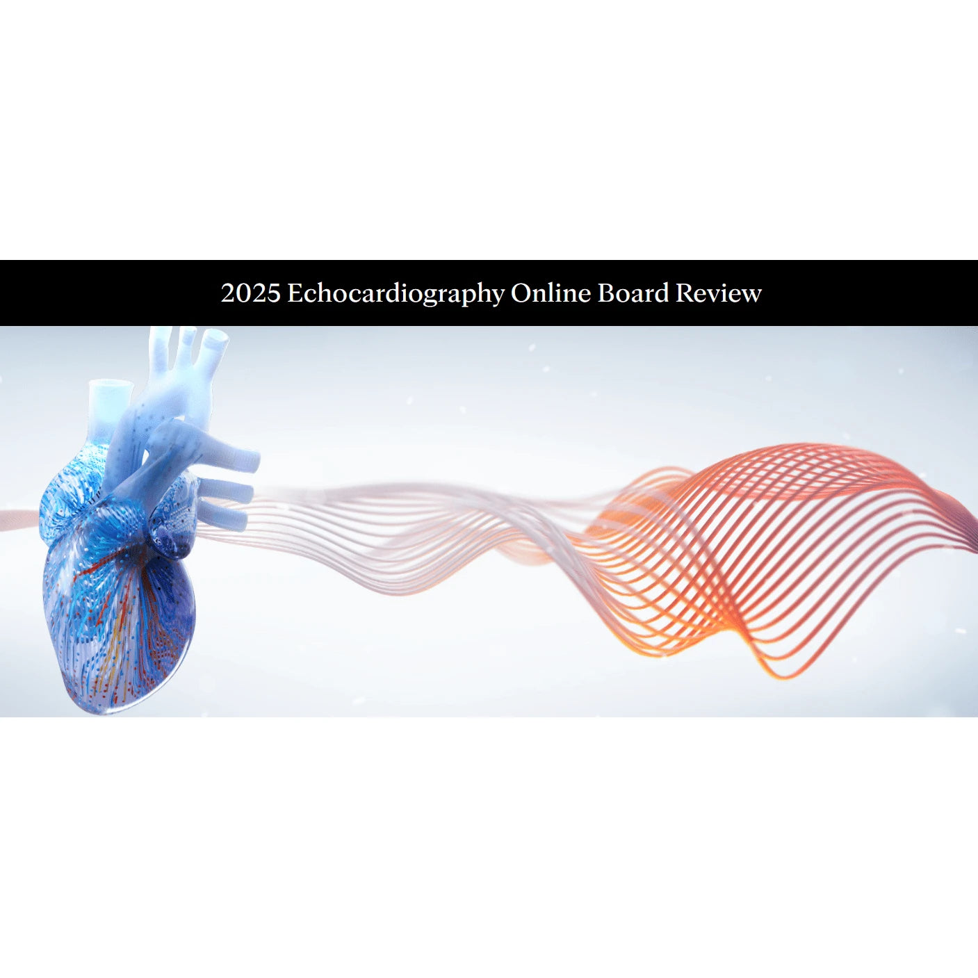 Mayo Clinic 2025 Echocardiography Online Board Review